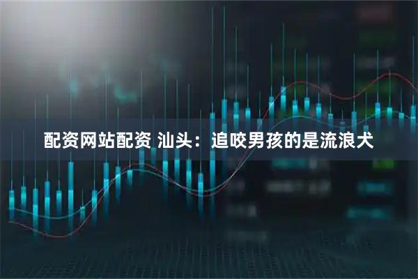 配资网站配资 汕头：追咬男孩的是流浪犬