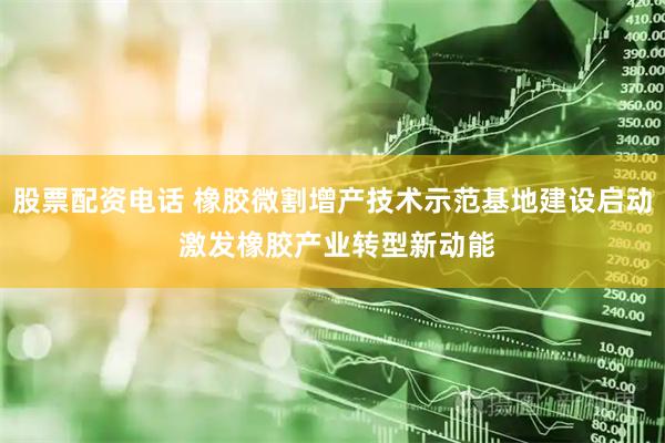 股票配资电话 橡胶微割增产技术示范基地建设启动 激发橡胶产业转型新动能